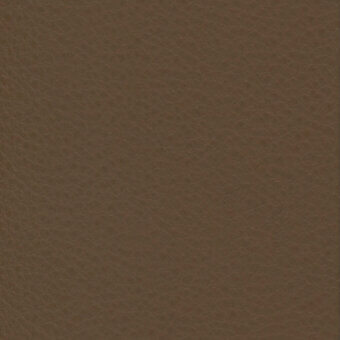 Brown leather texture with fine grain, matte finish, and warm earthy tone, displaying a natural, organic surface pattern.